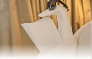 Folding Artistry